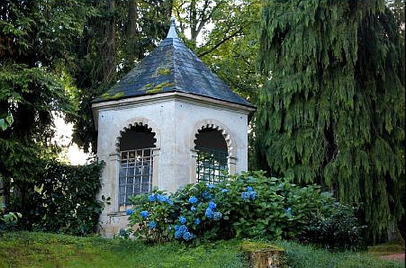 Accueil met hortensia's