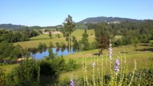 Camping-2019-20160609_184525_klein