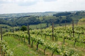 Camping-2019-DSC_8725_klein